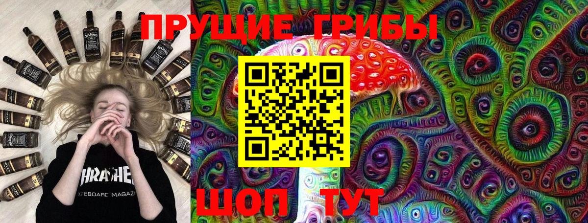 Ржев  Галлюциногенные грибы мухоморы  Вход с VPN 